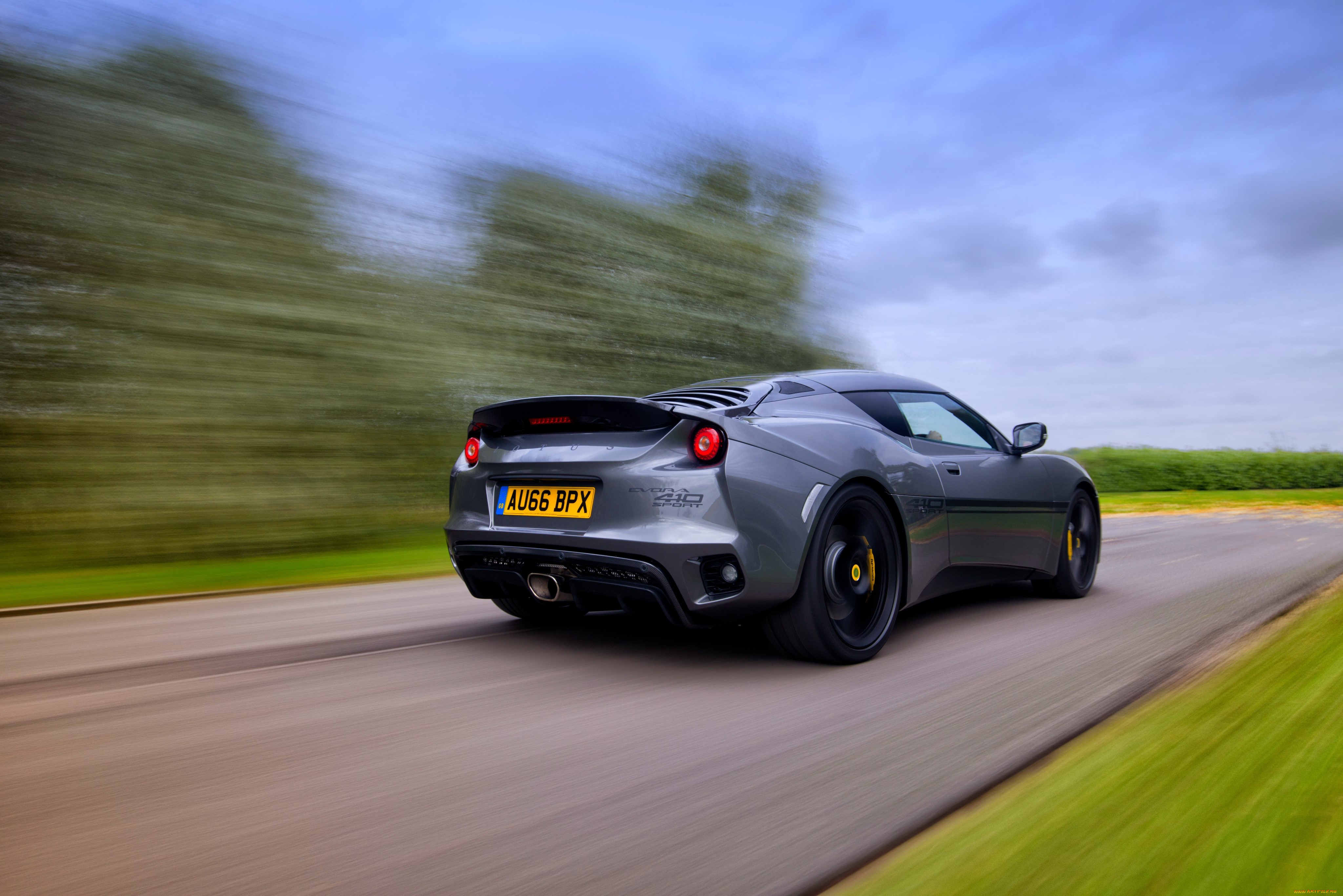 , lotus
